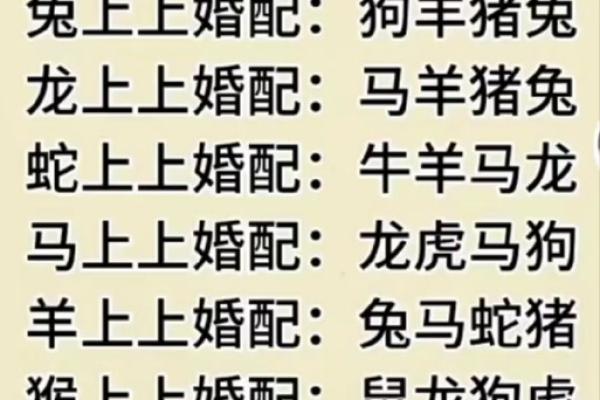 兔配对的属相婚配表，兔跟什么属相配