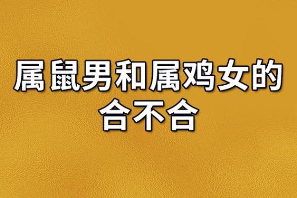 93年和95年婚姻相配吗，93年和95年合不合