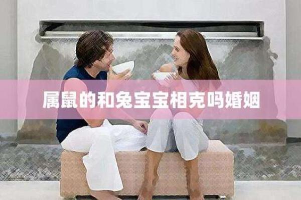 属鼠和属兔的合不合婚，属鼠和属兔的合不合_