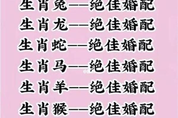 属兔和蛇相配婚姻如何，属兔跟蛇合不合