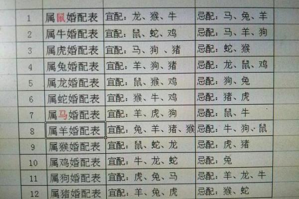 94年和93年婚姻相配吗，94年和93年属相合不合