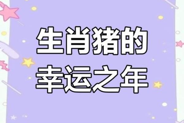 2025年生肖猪适合理发的好日子推荐_2025年生肖猪适合理发吉日推荐猪年理发好日选择指南