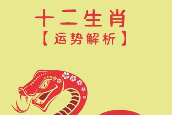 2025年1月份生肖兔动土好吉日分享 2025年生肖兔动土吉日分享2025年1月最旺动土日子指南