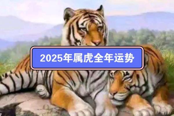 黄道吉日2025年7月生肖虎动土最好的日子 2025年属虎动土吉日推荐2025年7月最佳动土日子选择指南