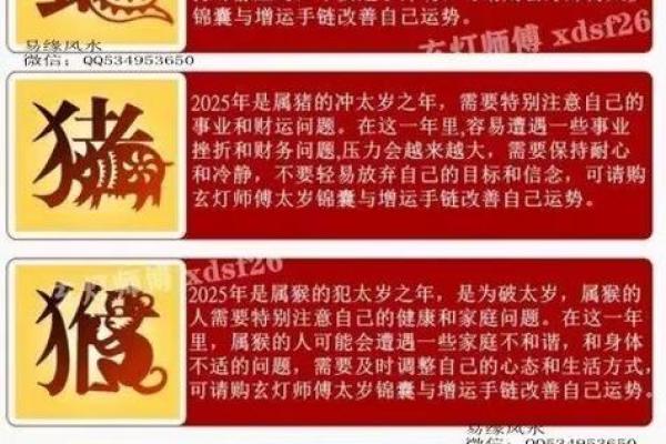 黄道吉日2025年11月生肖蛇动土吉日查询_2025年出生蛇是几月命好