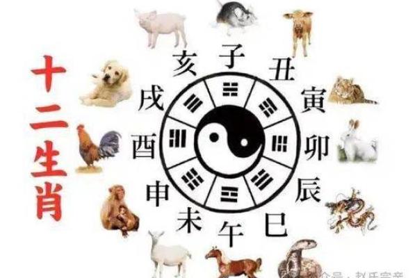 黄道吉日2025年10月属狗动土最吉利的日子 生肖狗在2025年的运势以及注意月份