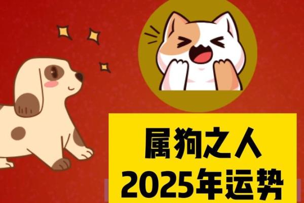 2025年生肖狗适合乔迁的好日子推荐