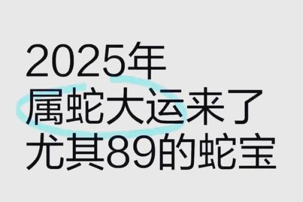 2025年12月动土好日子_2025年属蛇动土吉日推荐12月动土的最佳选择与指南