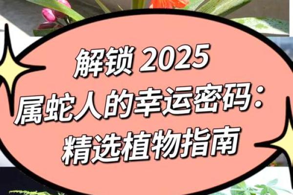 2025年1月适宜动土的日子 2025年属蛇动土吉日推荐1月适宜动土的最佳选择指南