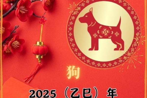 黄道吉日2020年12月生肖狗开业吉日查询  No available API keys 2020生肖狗12月开业吉日查询与推荐