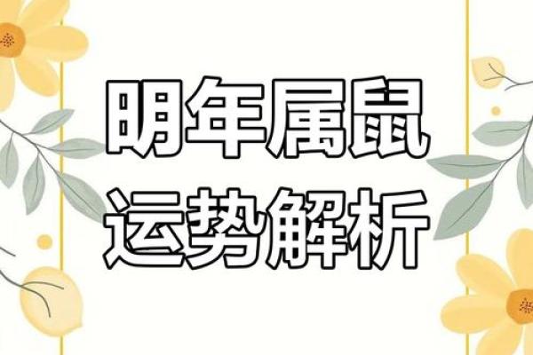 2020年8月份属鼠适合开业吉日一览表_2020年属鼠开业吉日一览8月份最旺日子选择指南