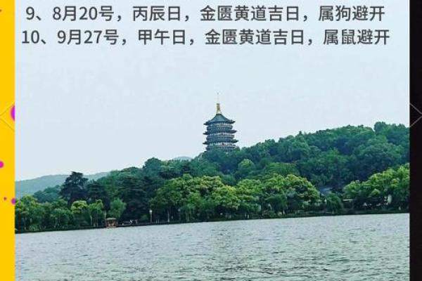 2025年3月份属龙领证黄道吉日有哪几天