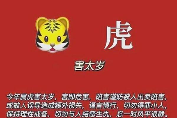 2025年属虎动土吉日分享2025年2月最佳动土日子选择指南