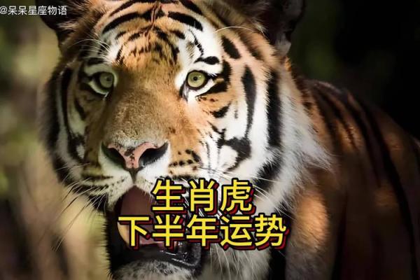 2024年5月份生肖虎乔迁好吉日分享