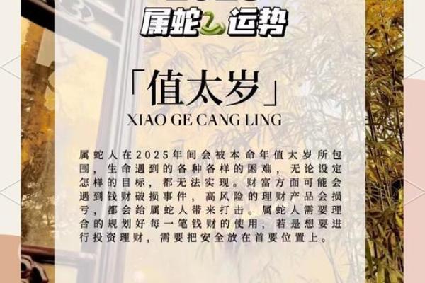 2025年9月份属猴适合动土吉日一览表_2025年生肖猴的运势