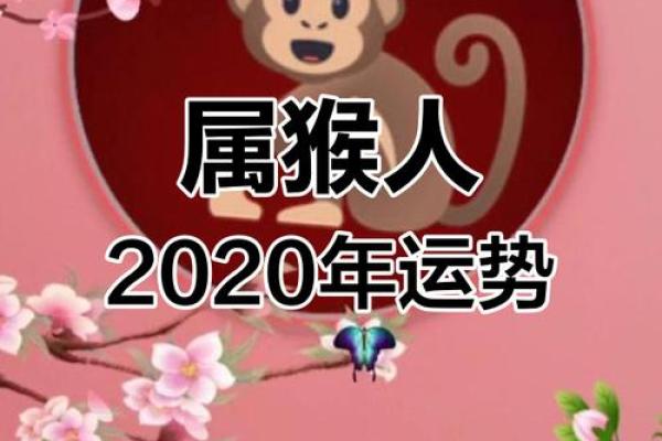 2020年5月份属猴的人开业吉日精选 2020年属猴开业吉日精选2020年5月开业的最佳日子指南