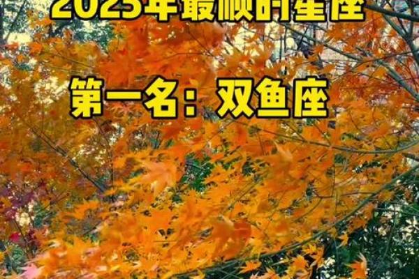 2025年双鱼座3月份适合开业的好日子推荐