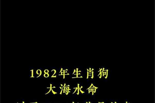 黄道吉日2025年8月属狗动土最吉利的日子 2025属狗动土吉日推荐2025年8月最吉利的动土日子选择指