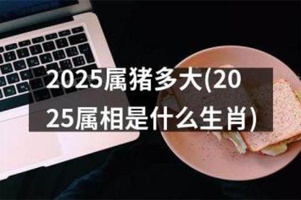 2025年6月份属猪的人动土吉日精选_属猪的2025年多大