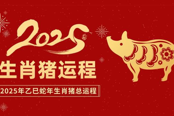 2020年5月份属猪适合开业吉日一览表_2020年属猪5月开业吉日一览最旺开业日选择指南
