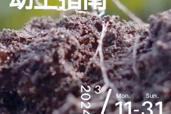 2025属蛇动土吉日一览3月最佳动土选择指南