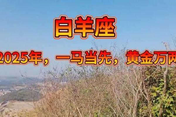 2025年白羊座2月份动土黄道吉日有哪几天_2025年白羊座2月份动土吉日推荐与选择指南