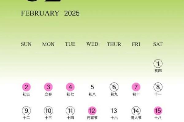 2025年水瓶座2月份最佳动土吉日大全_2025年水瓶座2月份动土吉日大全最佳选择指南