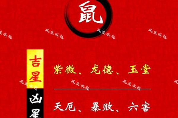黄道吉日2025年2月属鼠动土最吉利的日子 2025年属鼠的财运如何