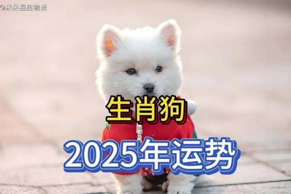 2025年11月生肖狗动土吉日推荐2025年最旺动土日子选择