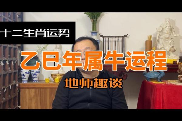 2025年10月份属牛动土黄道吉日有哪几天_2025年属牛人全年每月运程