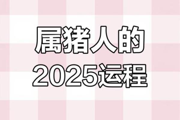 2025年1月份属猪的人动土吉日精选_2025年猪人命运