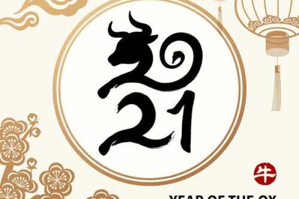 黄道吉日2025年12月生肖猪动土最好的日子 2025年属猪动土吉日推荐12月最佳动土日子选择指南