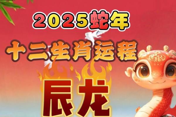 2025年1月份属龙的人最佳动土吉日大全 2025年属龙的人的全年运势