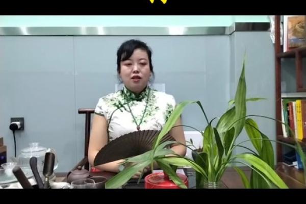 2025年11月份属狗的人最佳动土吉日大全 2025年生肖狗