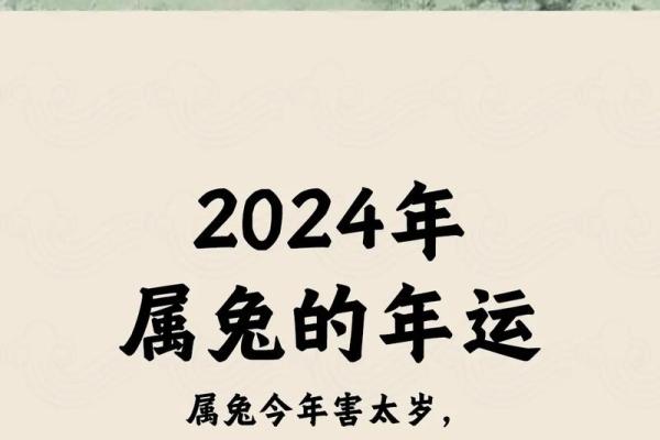 2025年属兔适合理发的日子