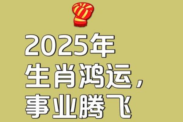 黄道吉日2025年11月生肖猪动土吉日查询 2025年11月生肖猪动土吉日查询与推荐