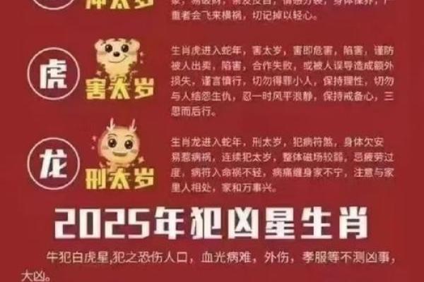 2025年12月份属鼠动土黄道吉日有哪几天_2025年属鼠动土吉日推荐12月最旺动土日子选择指南