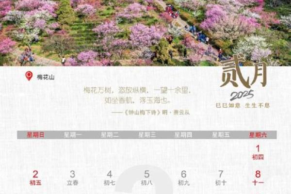 📅《二月安门吉日》速查手册