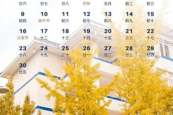 📅 2024年6月安门吉日速查表