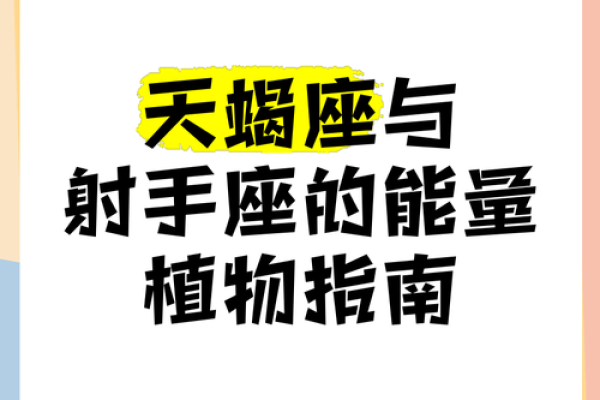 2025年天蝎座8月份适合动土的择吉日 2025年天蝎座8月动土吉日推荐与选择指南