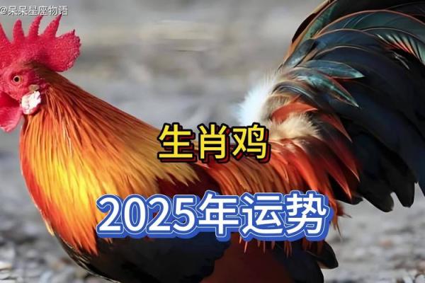 2025年属鸡适合动土的日子 属鸡在2025年的运势好不好呢