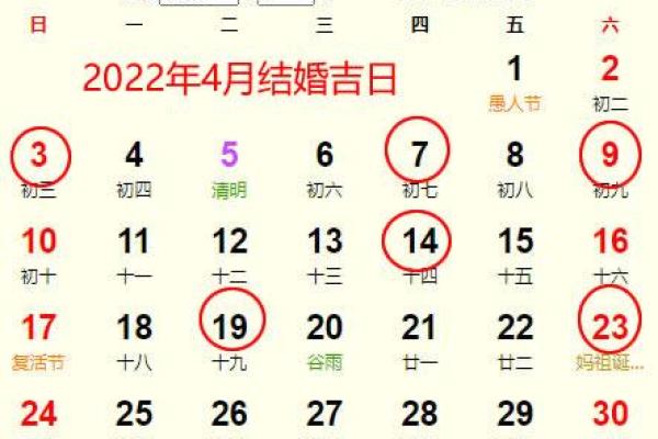 《2024年安门好日子》核心指南