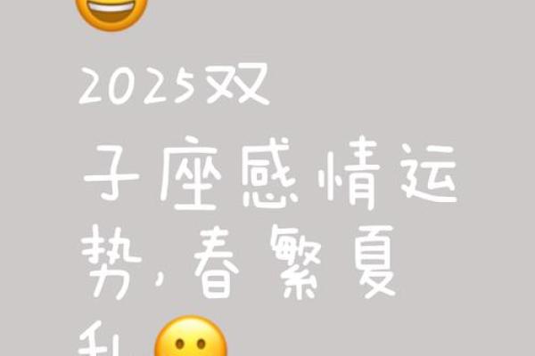 2025年双子座1月动土黄道吉日推荐与选择指南