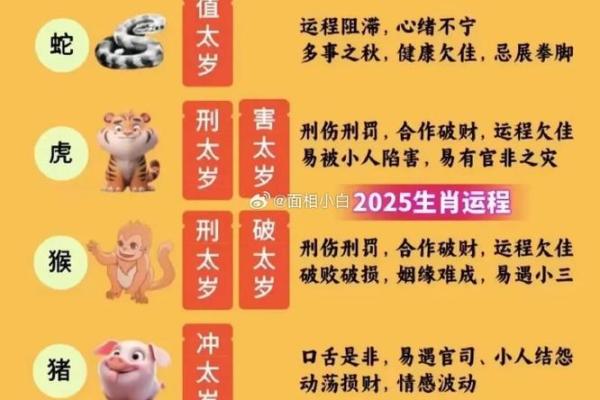 2025年10月份生肖鼠动土好吉日分享_2025年生肖鼠动土吉日推荐10月最旺动土日子分享