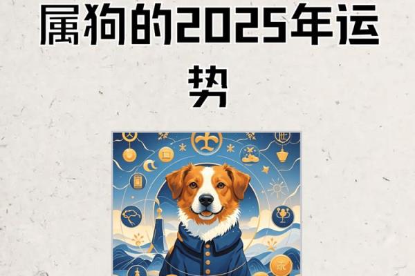 2025年4月份属狗的人动土吉日精选 2025年属狗人的全年运势详解