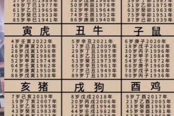 2025年金牛座12月份动土黄道吉日有哪几天 金牛座在2020年12月份的运势如何