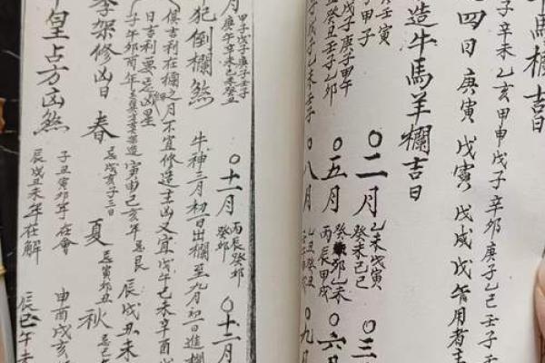 《最近安门吉日》核心指南