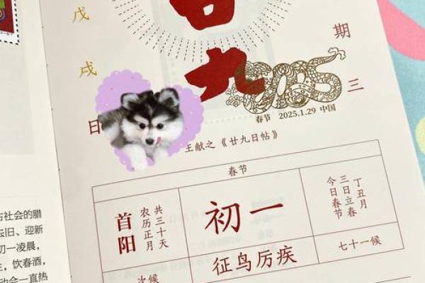 📅《2025元月安门吉日》择吉全攻略