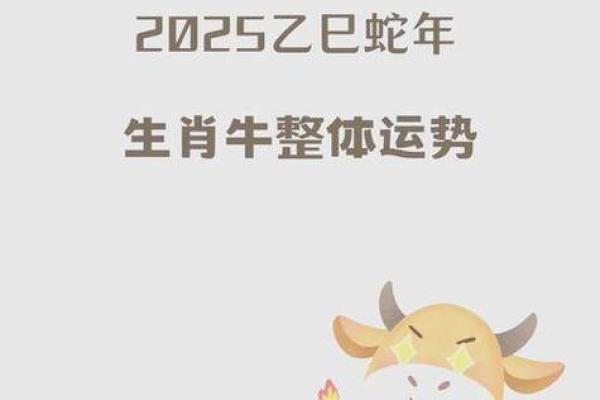2025年金牛座11月份动土吉日推荐 2025年金牛座11月动土吉日推荐与选择指南