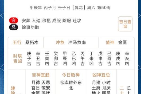 《宜安门的黄道吉日2024》简介